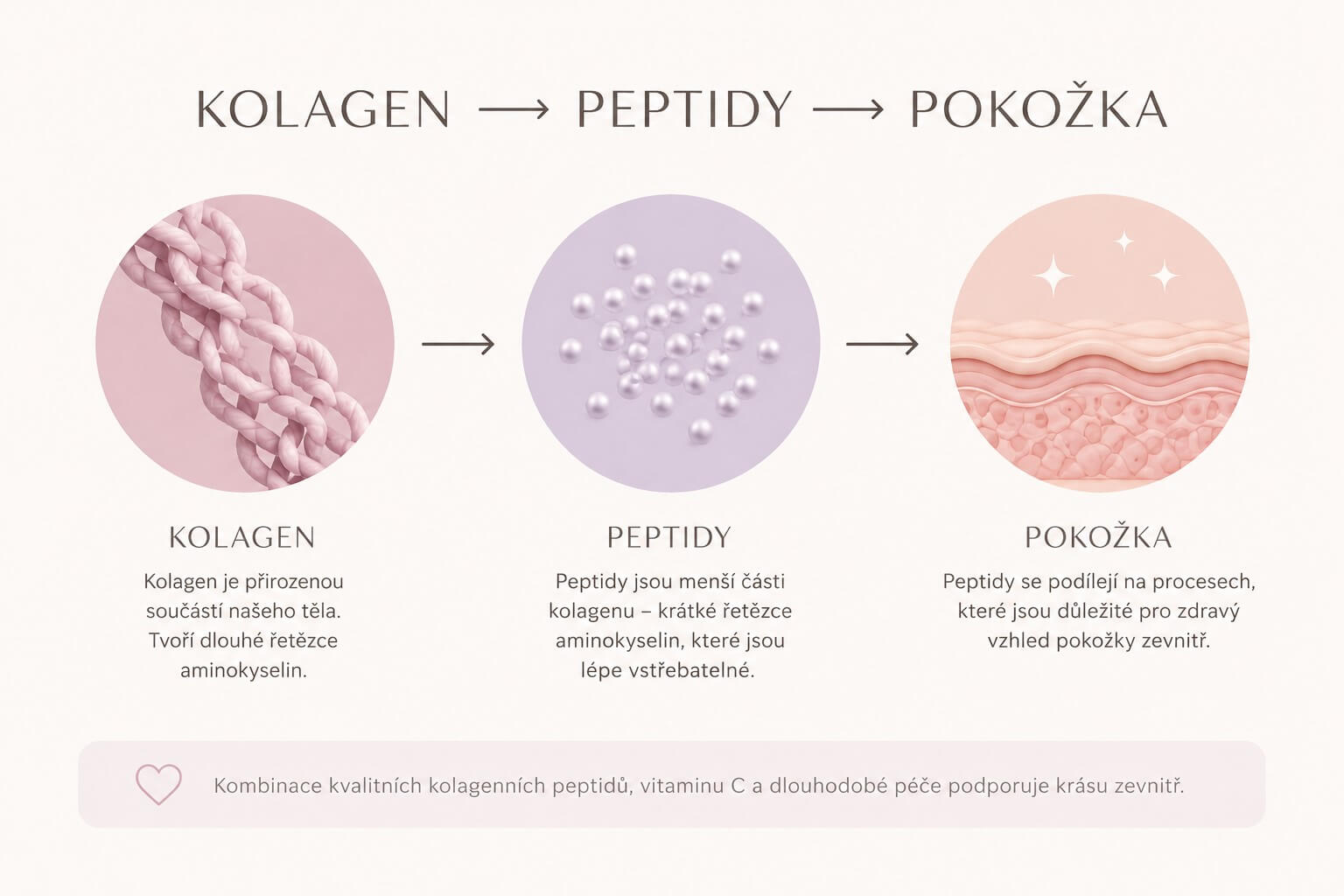 Bjuti - kolagen, peptidy, pokožka